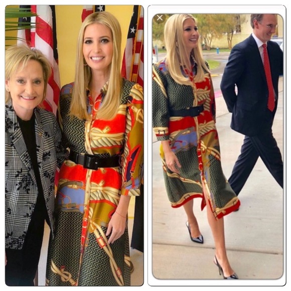 GORGEOUS ZARA NWT Printed Dress with Tie Belt - Picture 5 of 8